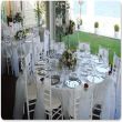 <h2>Beyaz Tiffany Sandalye Kiralama</h2>